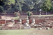 The archeologica excavations of the site of Sarnath 